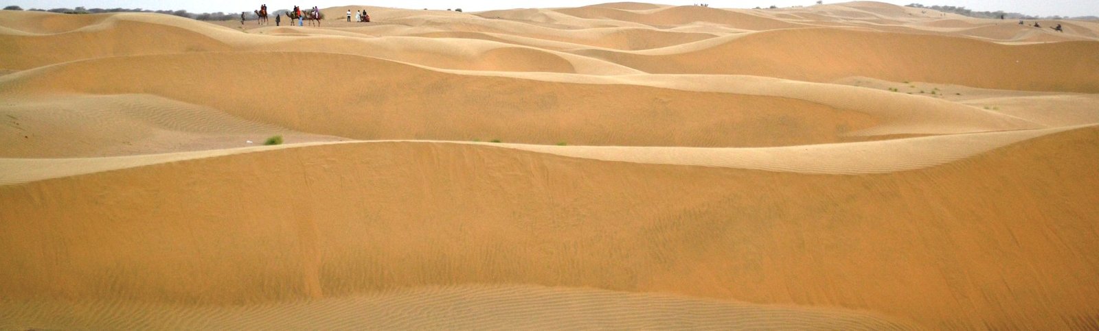 70412829_502297680696319_6256946062330691584_n